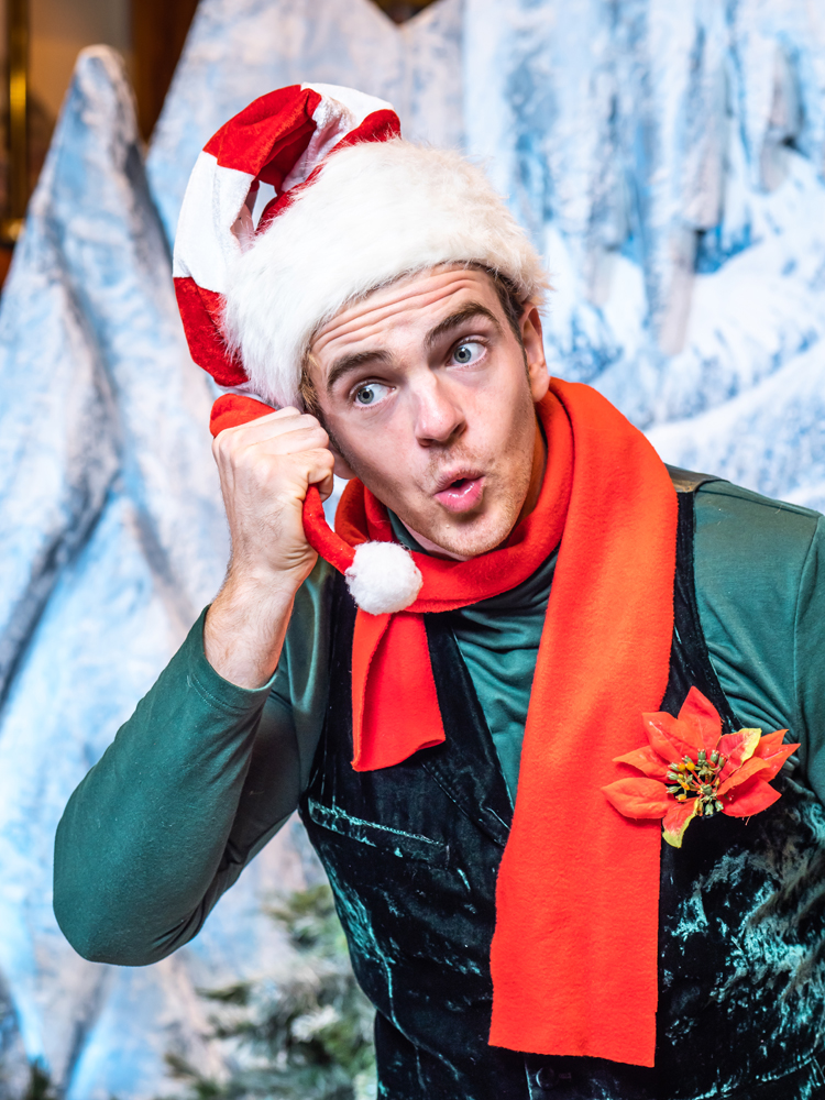 Santas Grotto Hire Elf
